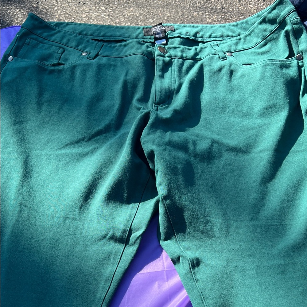 Torrid Teal Trousers